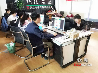 輸血變造血 衡陽市雁峰區以計算機技術培訓為抓手，走深走實產業扶貧路