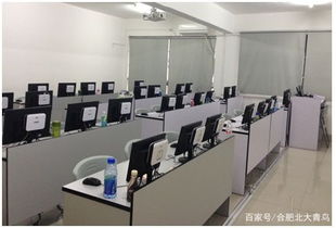 合肥計算機編程培訓新選擇 北大青鳥協同學院深度解析